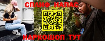сатива Ярославль