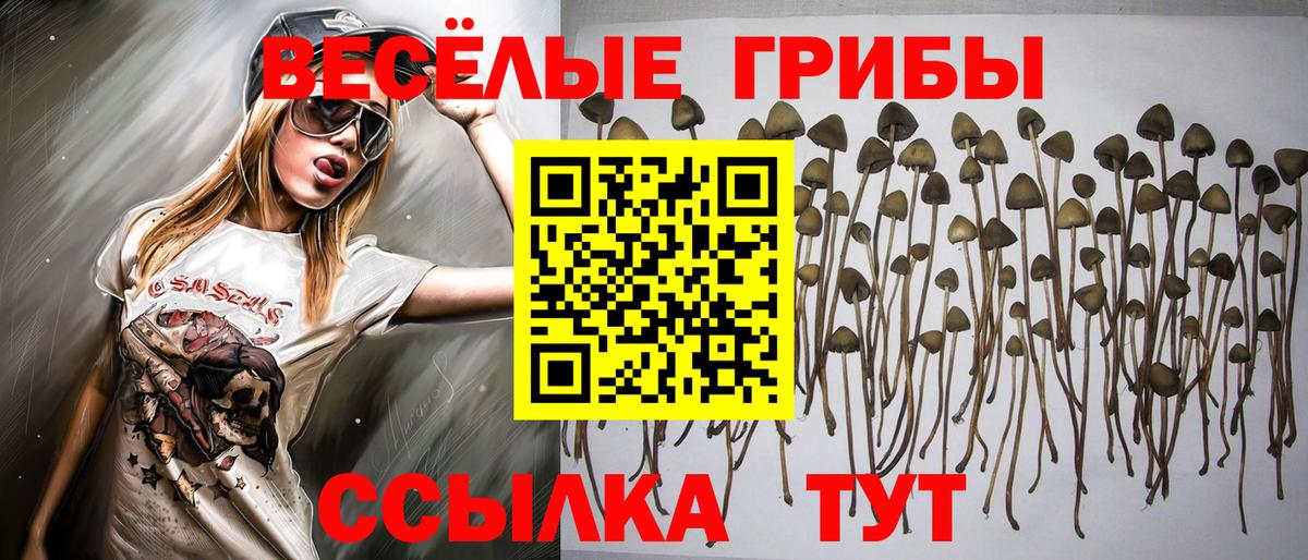 Псилоцибиновые грибы Magic Shrooms  продажа наркотиков  Волоколамск  Вход с VPN 